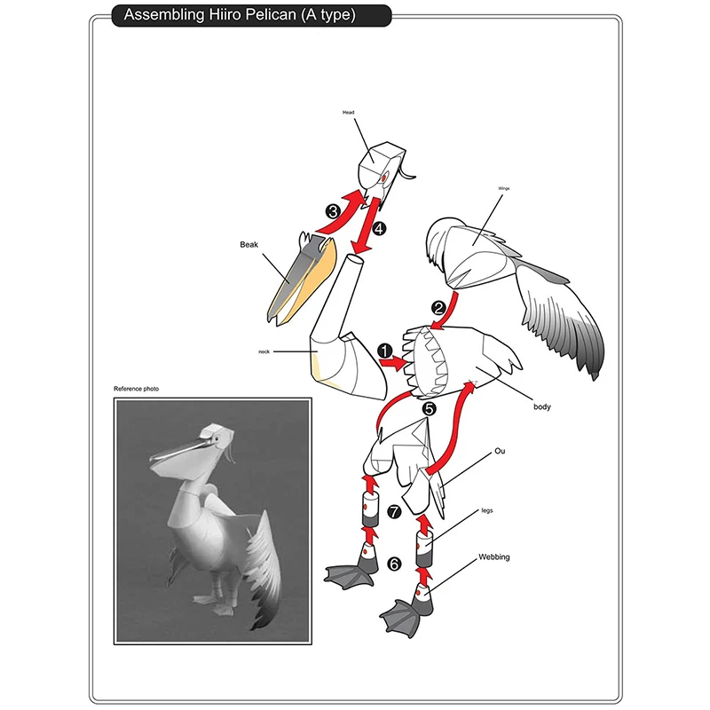 Dalmatian Pelican Origami Art  - Art And Craft Nature บทวิจารณ์และราคา