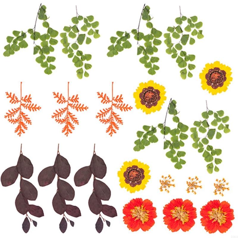 ดอกไม้กดแห้งสำหรับแม่พิมพ์เรซิ - Art And Craft Nature บทวิจารณ์และราคา