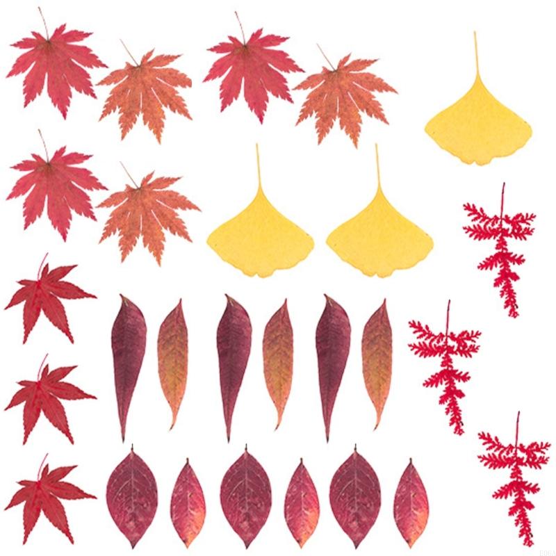ดอกไม้กดแห้งสำหรับแม่พิมพ์เรซิ - Art And Craft Nature บทวิจารณ์และราคา